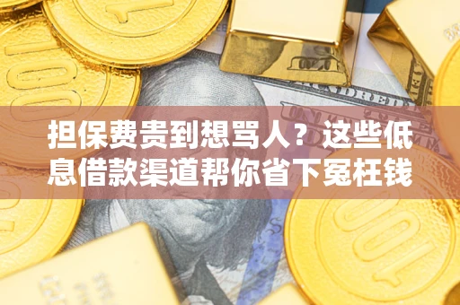 北京担保费贵到想骂人？这些低息借款渠道帮你省下冤枉钱