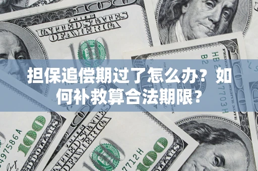 北京担保追偿期过了怎么办？如何补救算合法期限？